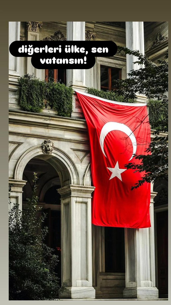 #BayrakNamustur