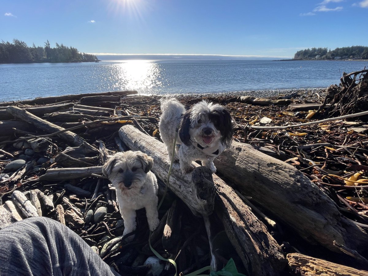 Jim Bottomley tweet media