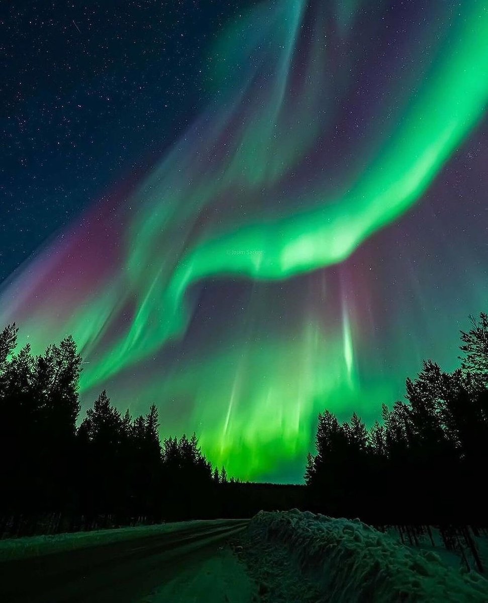 earthcurated's tweet image. Ultra rare aurora in the skies over Lapland ✨🤯