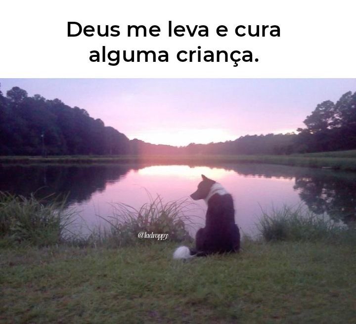 0Taieli's tweet image. 