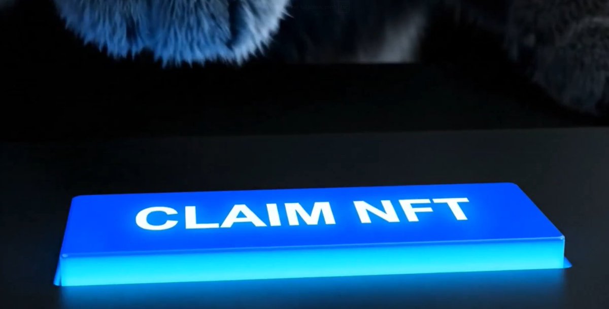 Desobediente tweet media