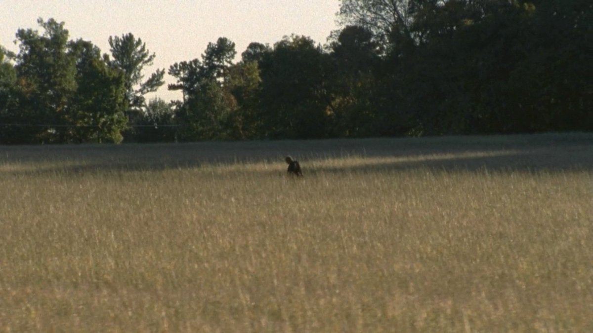 lovxtwd's tweet image. the walking dead, 2012