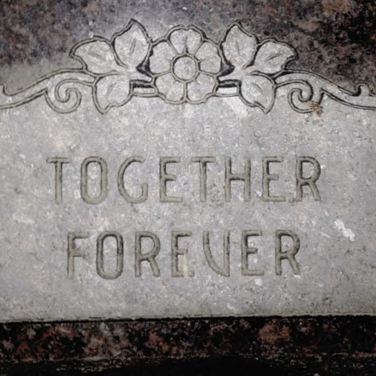 bIoodfangs's tweet image. 