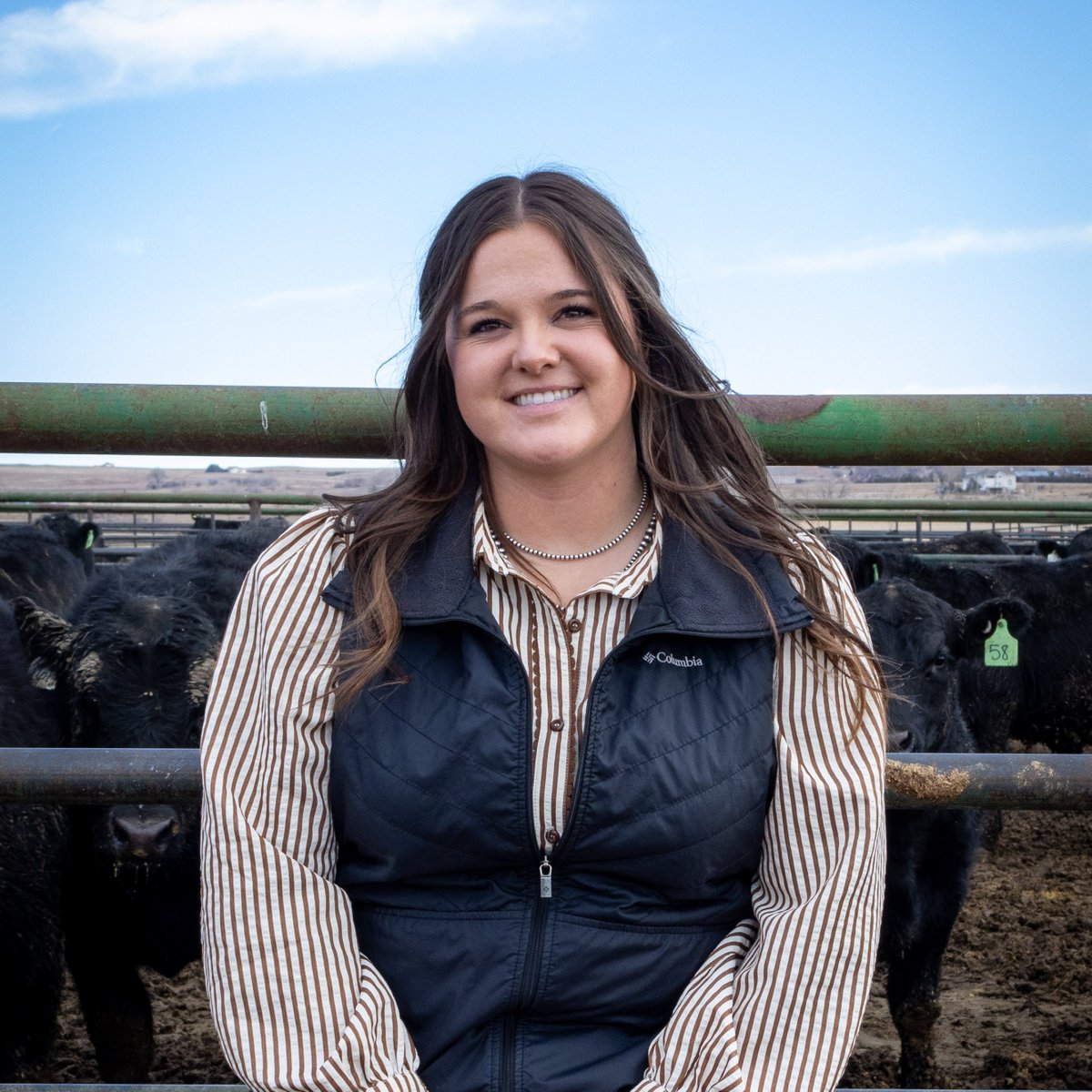 CSU AgNext tweet media