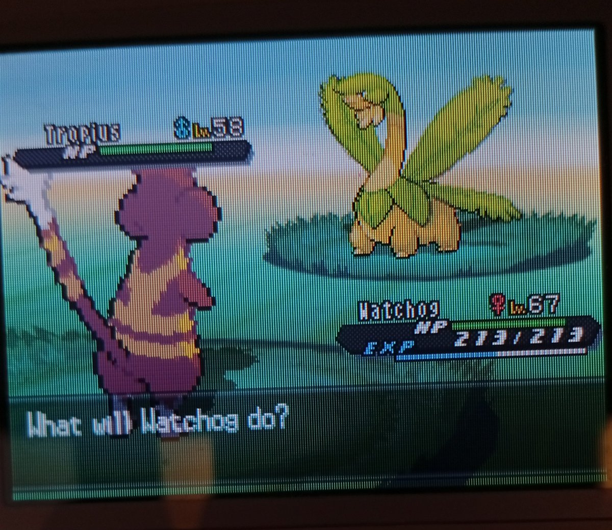 hydragium tweet media