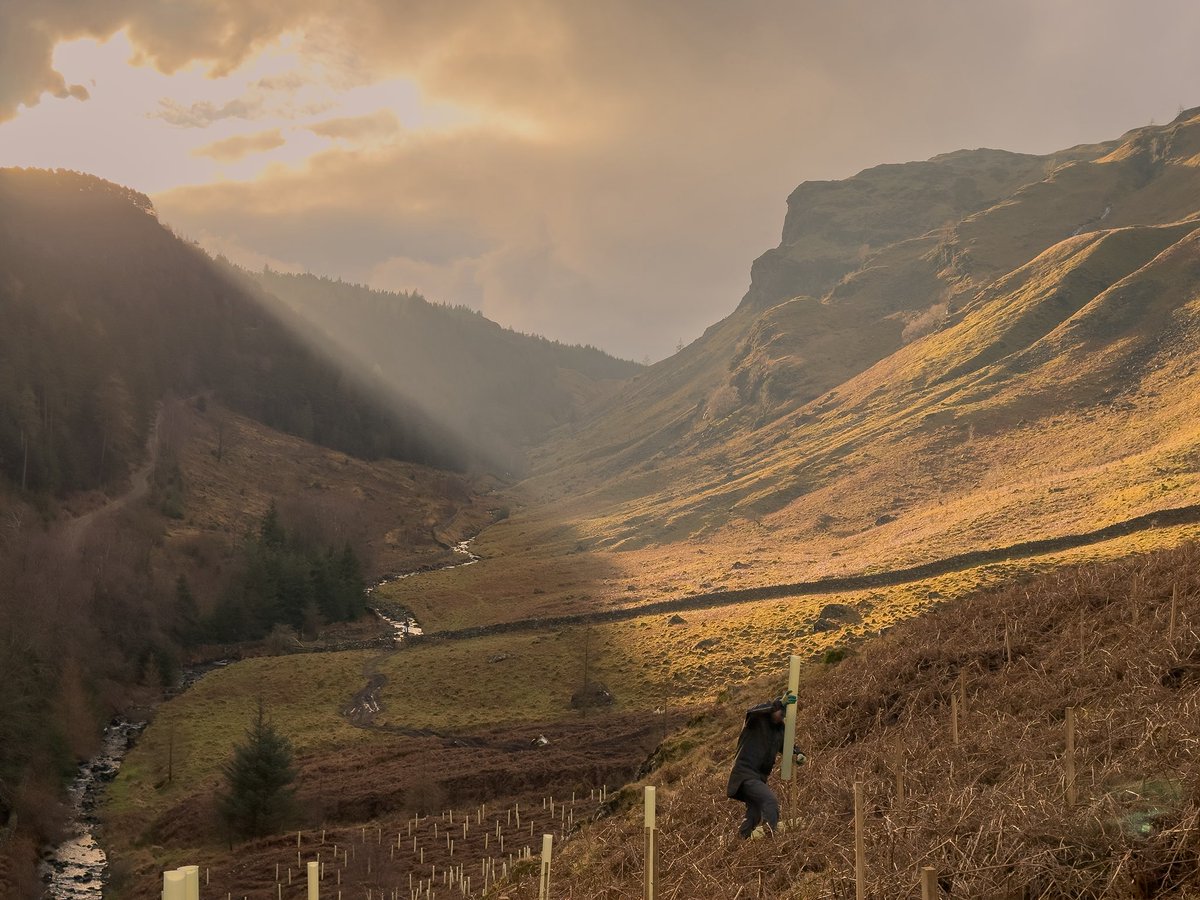 Dan Bell tweet media