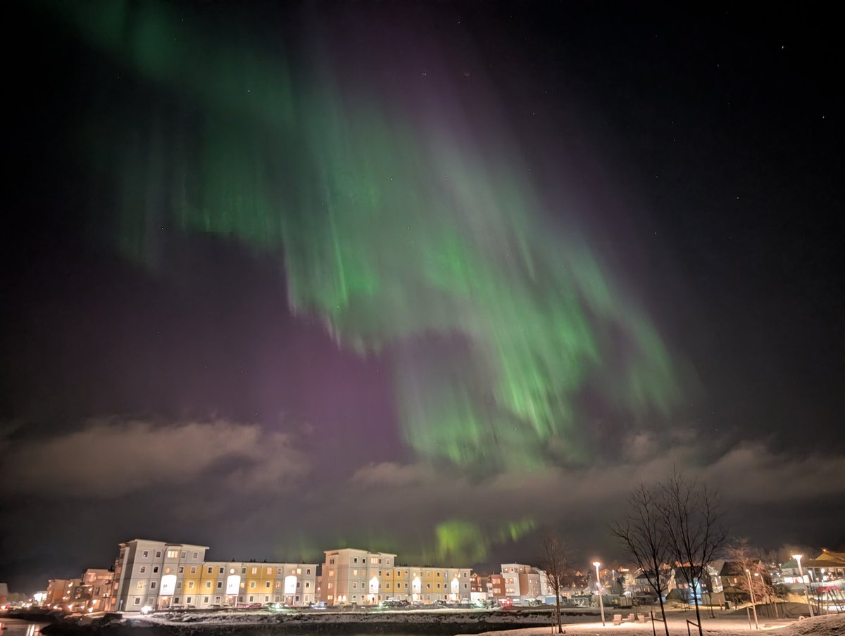 Cordian Riener tweet media