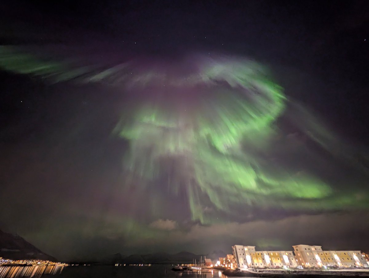 Cordian Riener tweet media