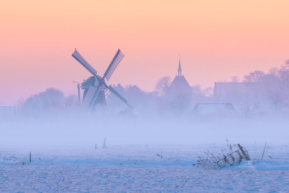 Albert Dros tweet media