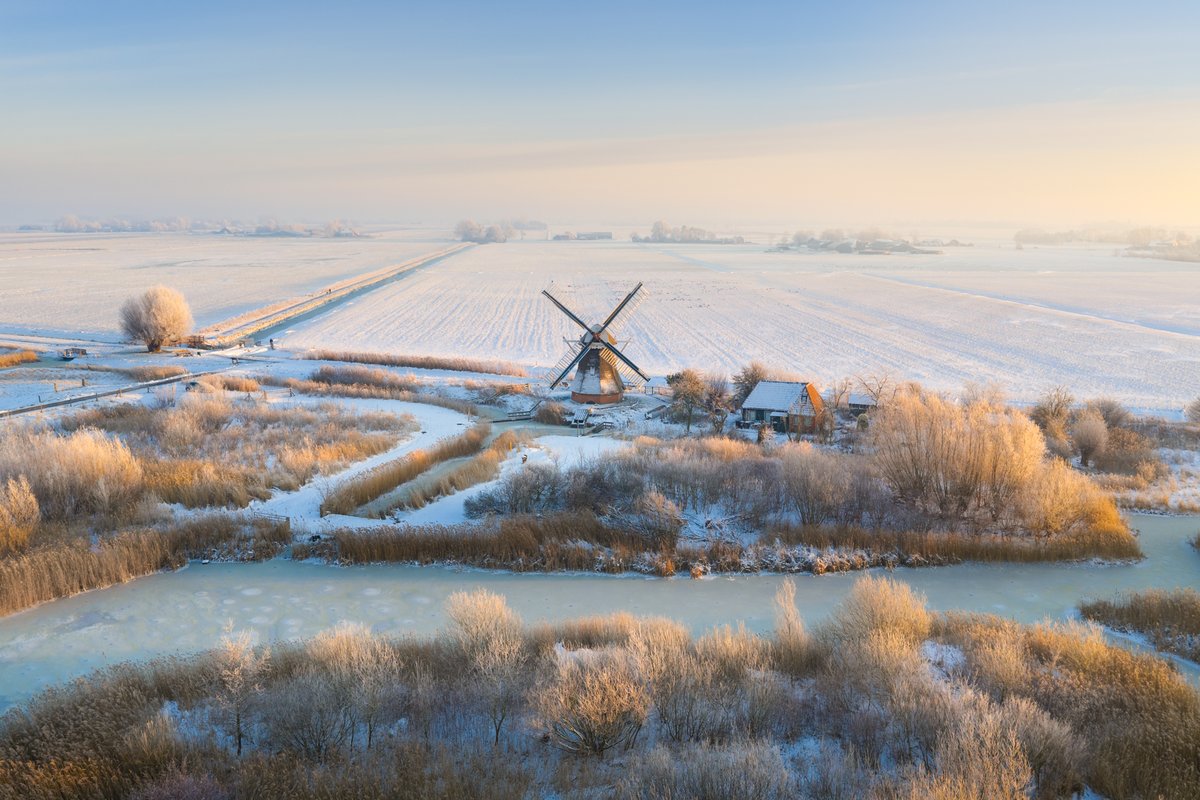 Albert Dros tweet media