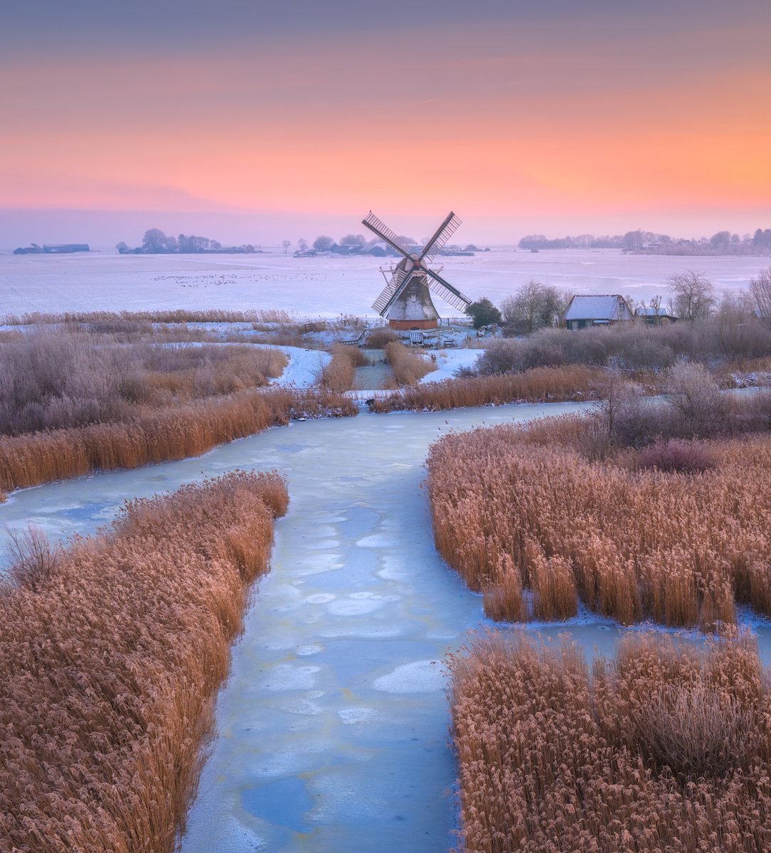 Albert Dros tweet media