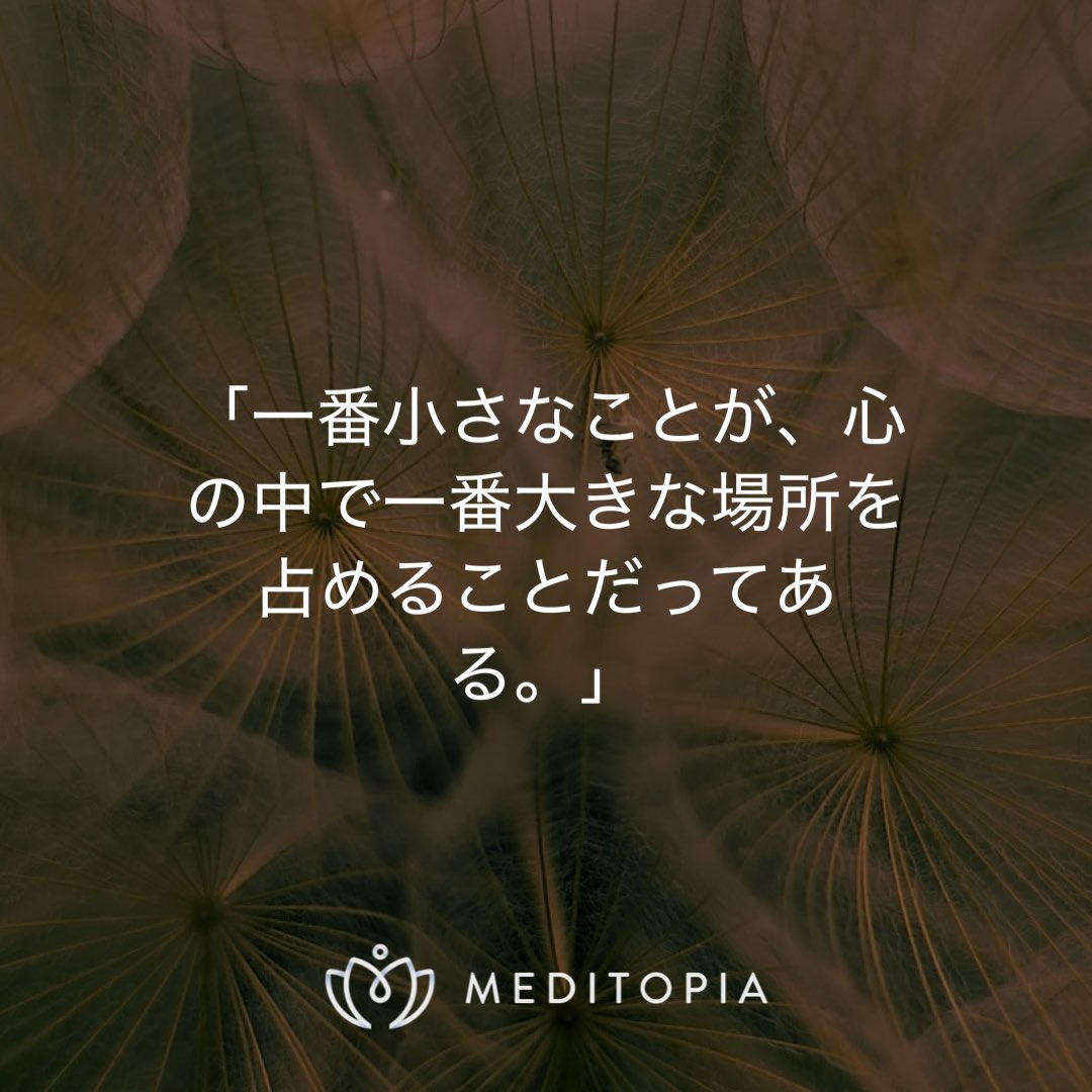 自己研鑽 tweet media