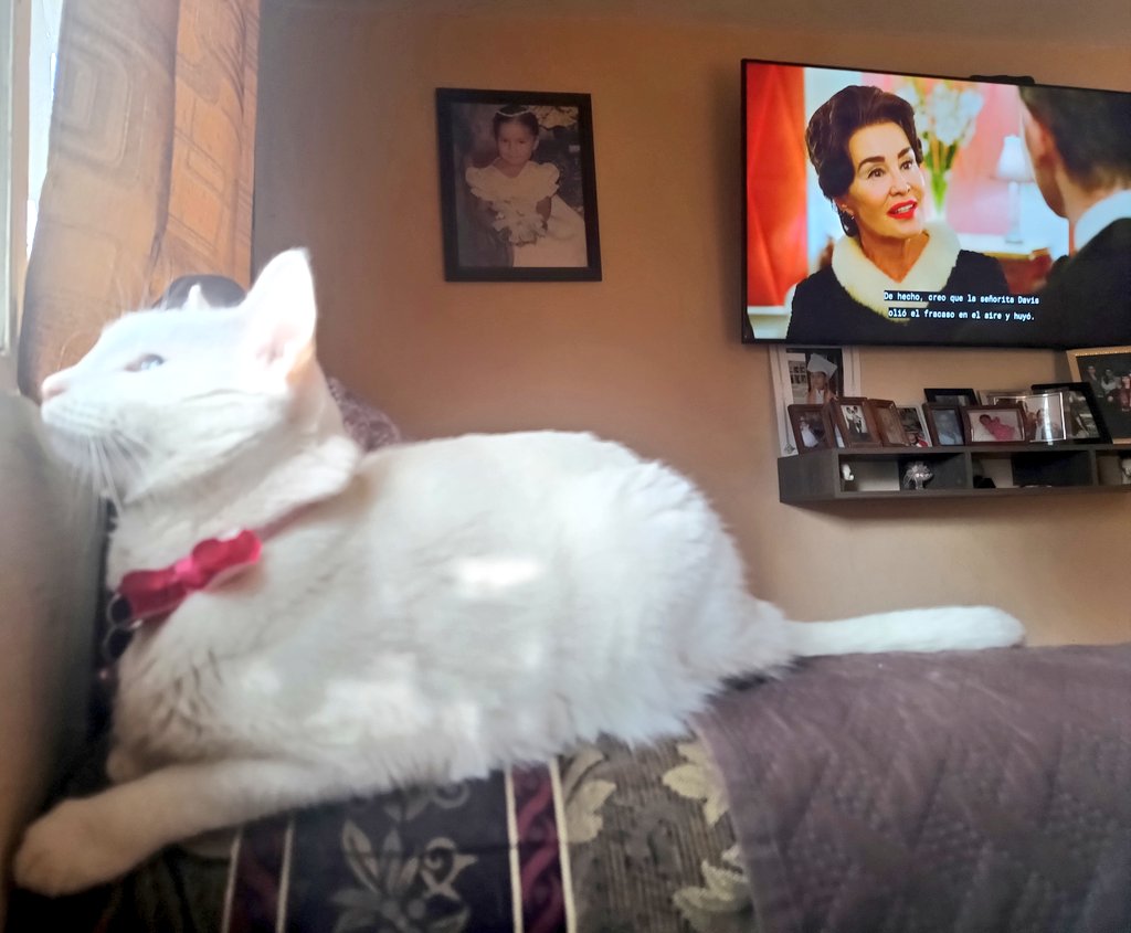 Tamos chill 🤙🏼