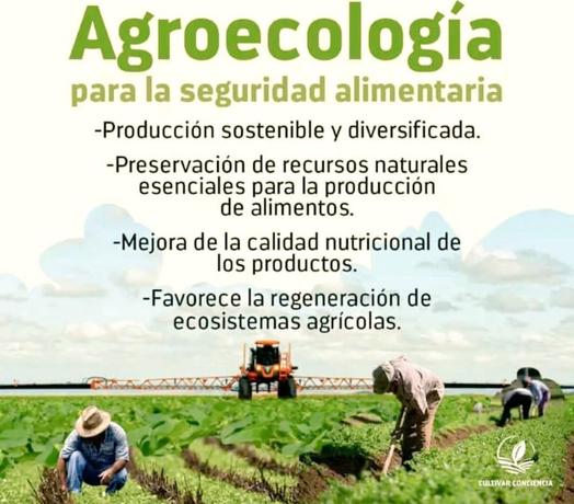 #ANAPCuba, la Agroecología no sólo cultiva alimentos, cultiva vida, sostenibilidad y futuro,
#65ANAPCuba 🇨🇺
#FidelPorSiempre  
<a href="/DiazCanelB/">Miguel Díaz-Canel Bermúdez</a>
<a href="/PartidoPCC/">Partido Comunista de Cuba</a>
<a href="/DrRobertoMOjeda/">Dr. Roberto Morales Ojeda</a>
<a href="/RamnMonte1/">José Ramón Monteagudo Ruiz</a>
<a href="/FelixDuarteOrte/">Félix Duartes Ortega</a>
<a href="/SarduyYamila/">Yamila Sarduy Martínez</a>
<a href="/YoelPalmero3/">Yoel Palmero</a>