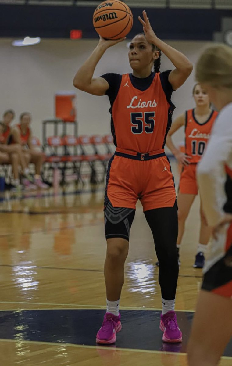 Havoc Basketball tweet media