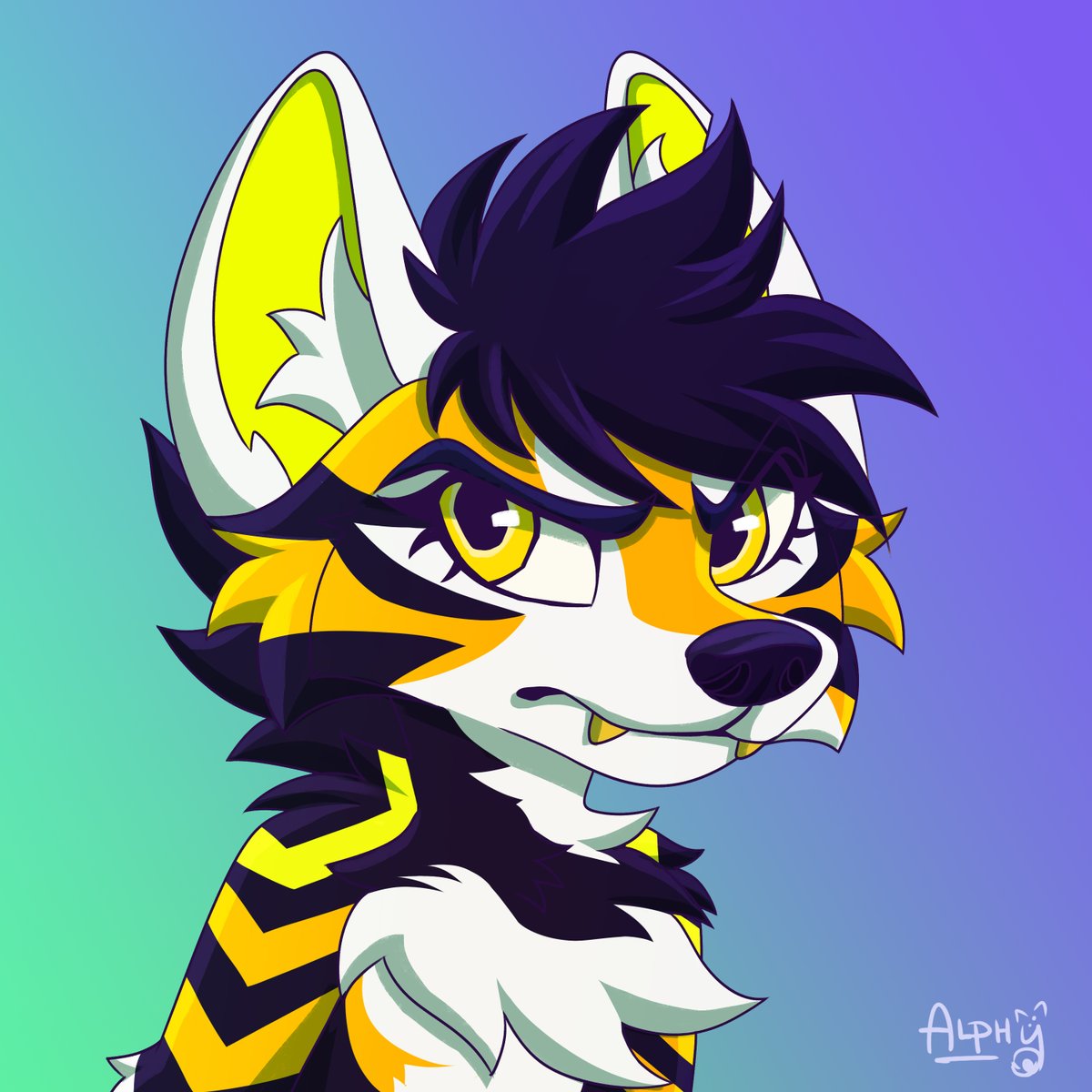 🦴Alphy 🦴 tweet media