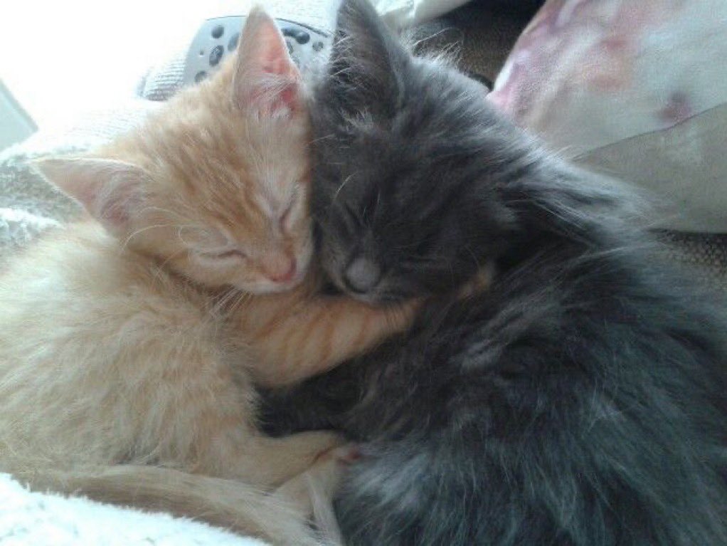 tagyourwho's tweet image. 