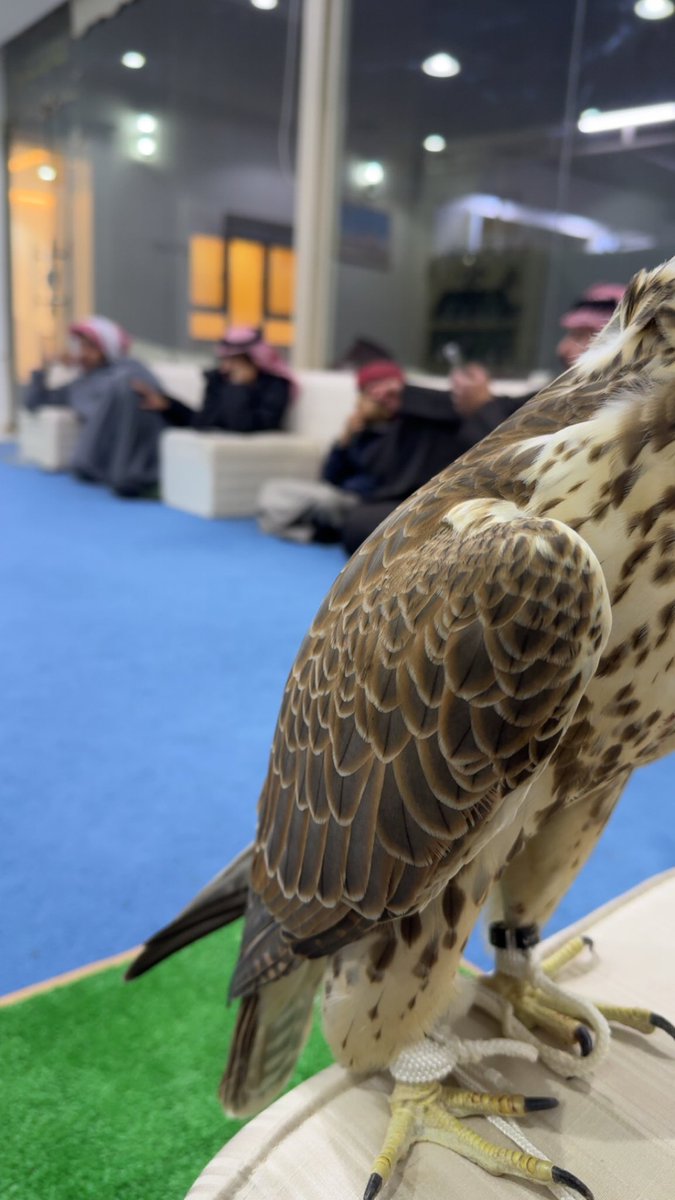 لا ماتت الأحلام في وجه الظروف 
جعل العوض فـ الباقيات الصالحات