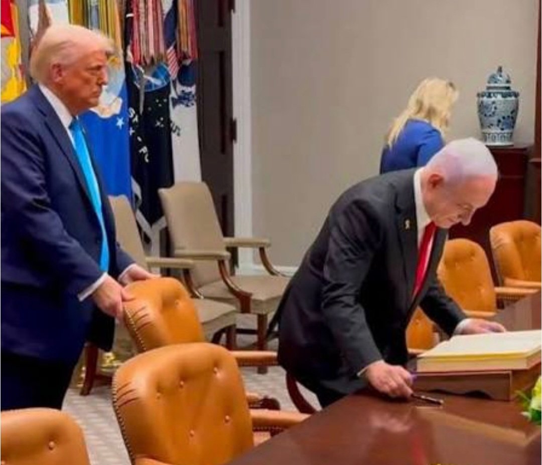 Columbo 🍉 tweet media