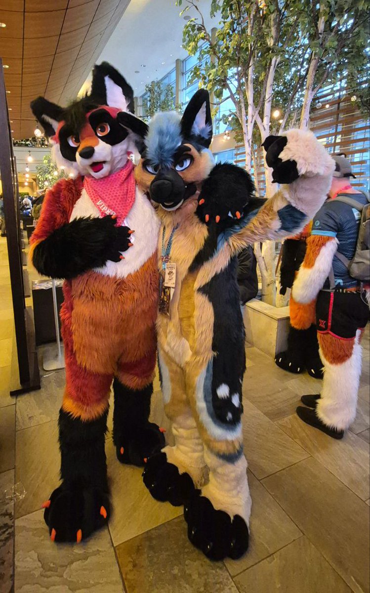 Kassel Shep 🔜 🇯🇵 tweet media