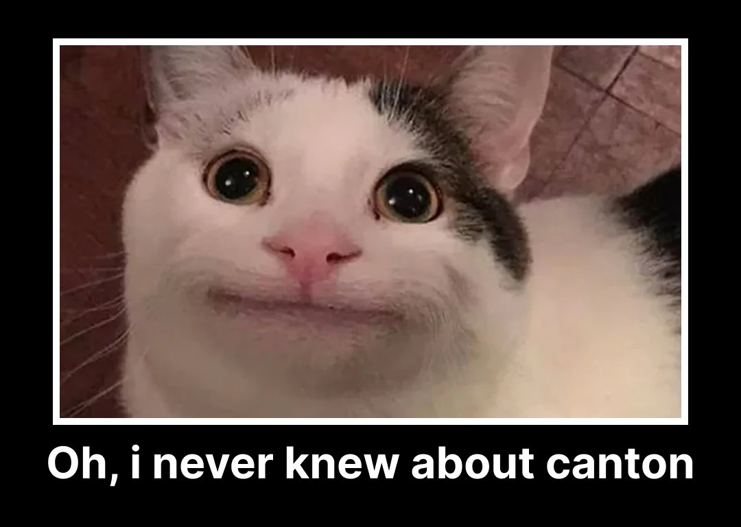 okay, now you know about it!

securities
🔫 <a href="/The_DTCC/">DTCC</a>: to tokenize DTC-custodied U.S. Treasury securities
🔫 <a href="/GoldmanSachs/">Goldman Sachs</a>: operates GS DAP for bond issuance and money market fund tokenization.
🔫 <a href="/HSBC/">HSBC</a>:  runs the Orion platform for primary bond issuances and tokenized asset