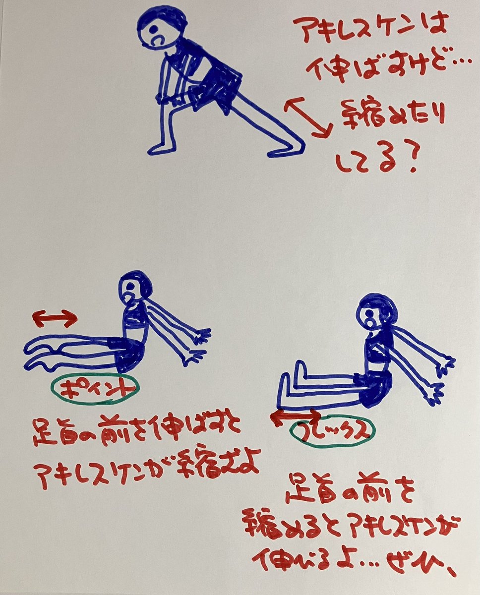 takominwriter's tweet photo. 【アキレス腱は伸ばすけど……】

❶ 長座になる。

❷ 足首の前を伸ばすと、アキレス腱はゆるむ。

❸ つま先を手前にキュッとたたむと、足首の前が縮む。

「伸ばす × 縮める」
この往復で、アキレス腱はしなやかに。

歩ける・動ける足は、ここから。
あなたも…ぜひ、 https://t.co/opTyFkBAKy