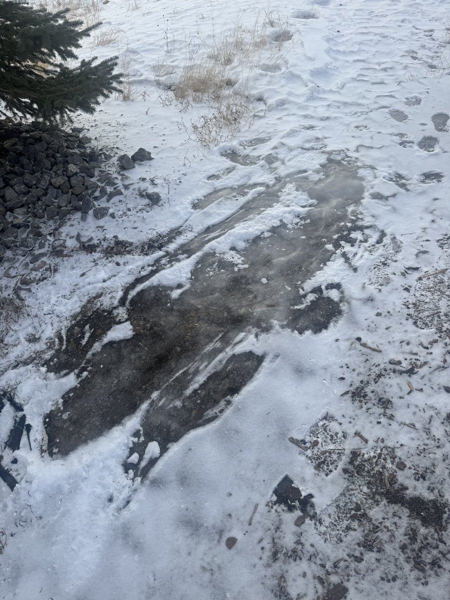 Craig Baird - Canadian History Ehx tweet media