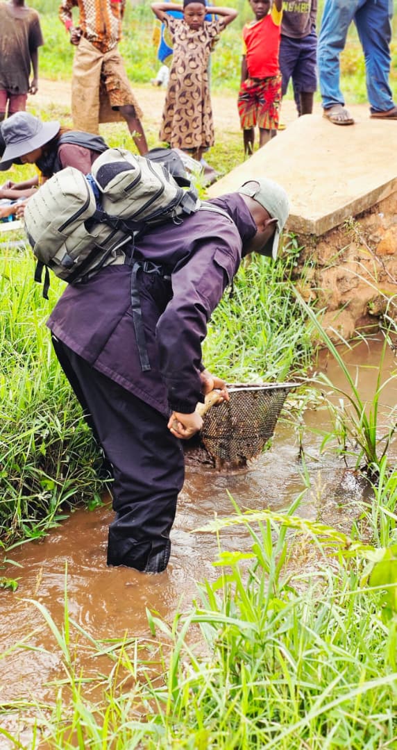 Center of Excellence in Biodiversity & NRM tweet media