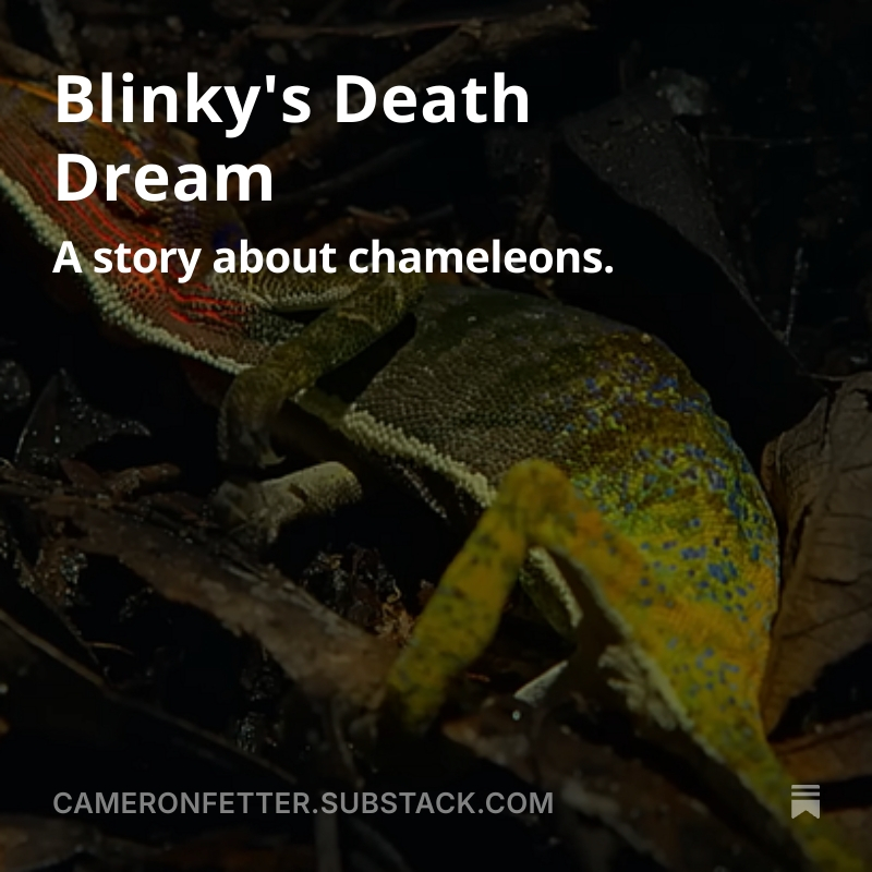 watersplasher101 tweet media