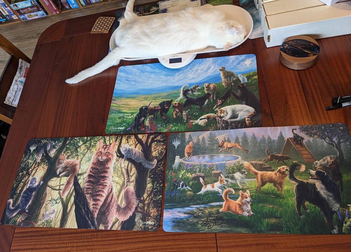 Alayna Danner tweet media