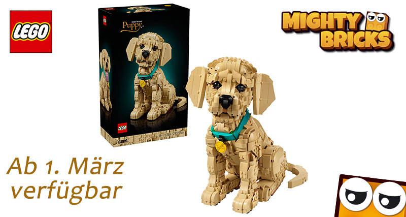 _MightyBricks_'s tweet photo. LEGO® Icons 11384 Golden Retriever Welpe
Ein liebevoll gestaltetes Display-Set für erwachsene #LEGO Fans &amp; #Hundefreunde.

📅 Ab 1. März bei MightyBricks in #Teltow
📍 Ruhlsdorfer Str. 89a

#LEGOIcons #GoldenRetriever #MightyBricks #AFOL https://t.co/zpmVjGmezE