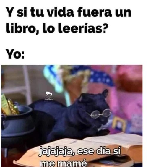 Y sí... 😂🤣😅