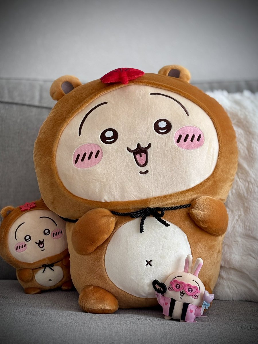 たぬきだもんくじ