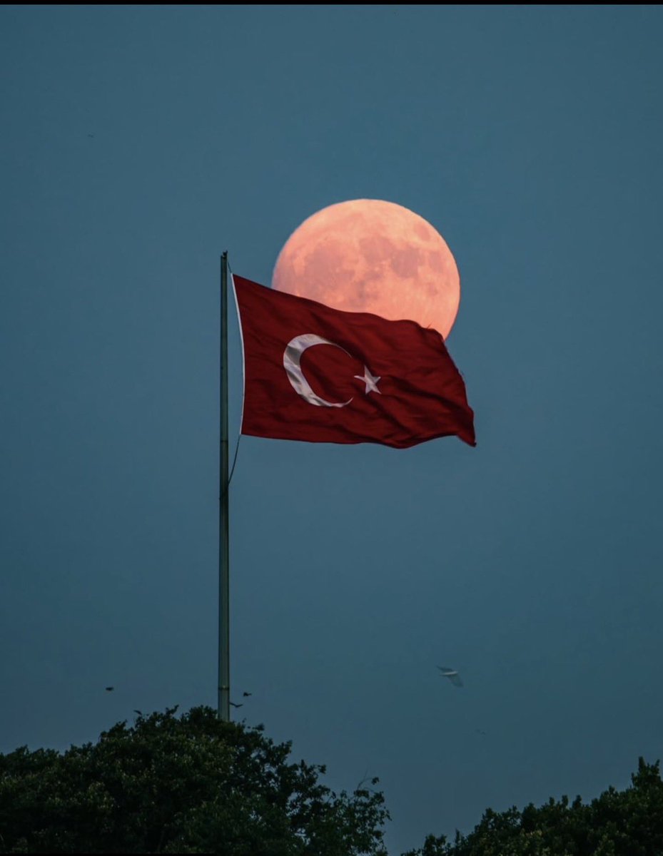 #BayrakNamustur   Sana uzanan elleri kıramadık ya yanarım yanarım ona yanarım