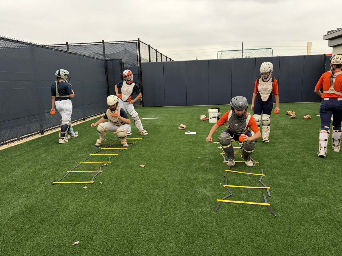 Bridgeland Softball tweet media