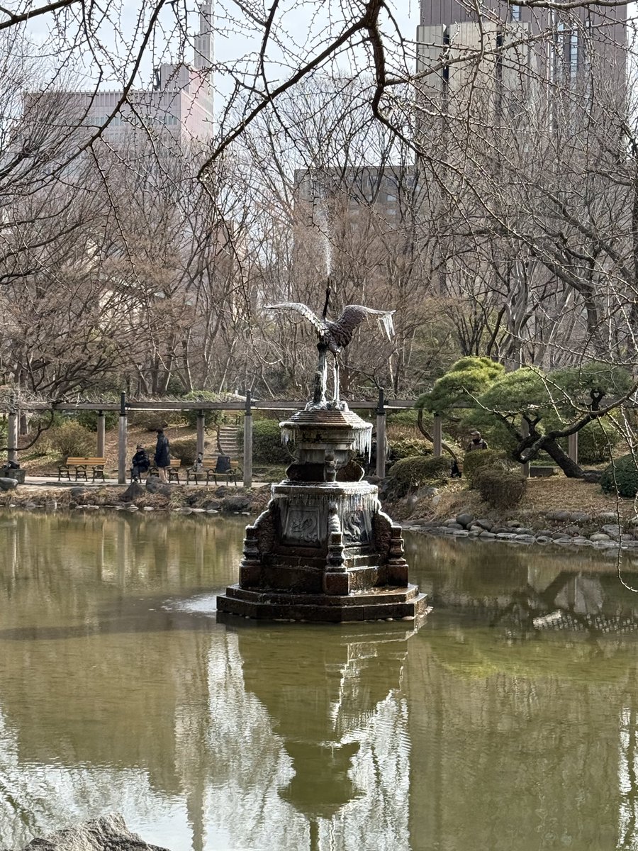 今年初凍結です。日比谷公園名物“雲形池鶴の噴水”毎朝の気温バロメータです。ご来店お待ち致しております。#ランチ #エーデスピルス #ソラチ #トゥクトゥク #ムーガタ #ガパオライス #日比谷公園 #ふわとろ卵 #ヒビヤサロー #テラス #ビール #トロトロ卵 #鶴の噴水