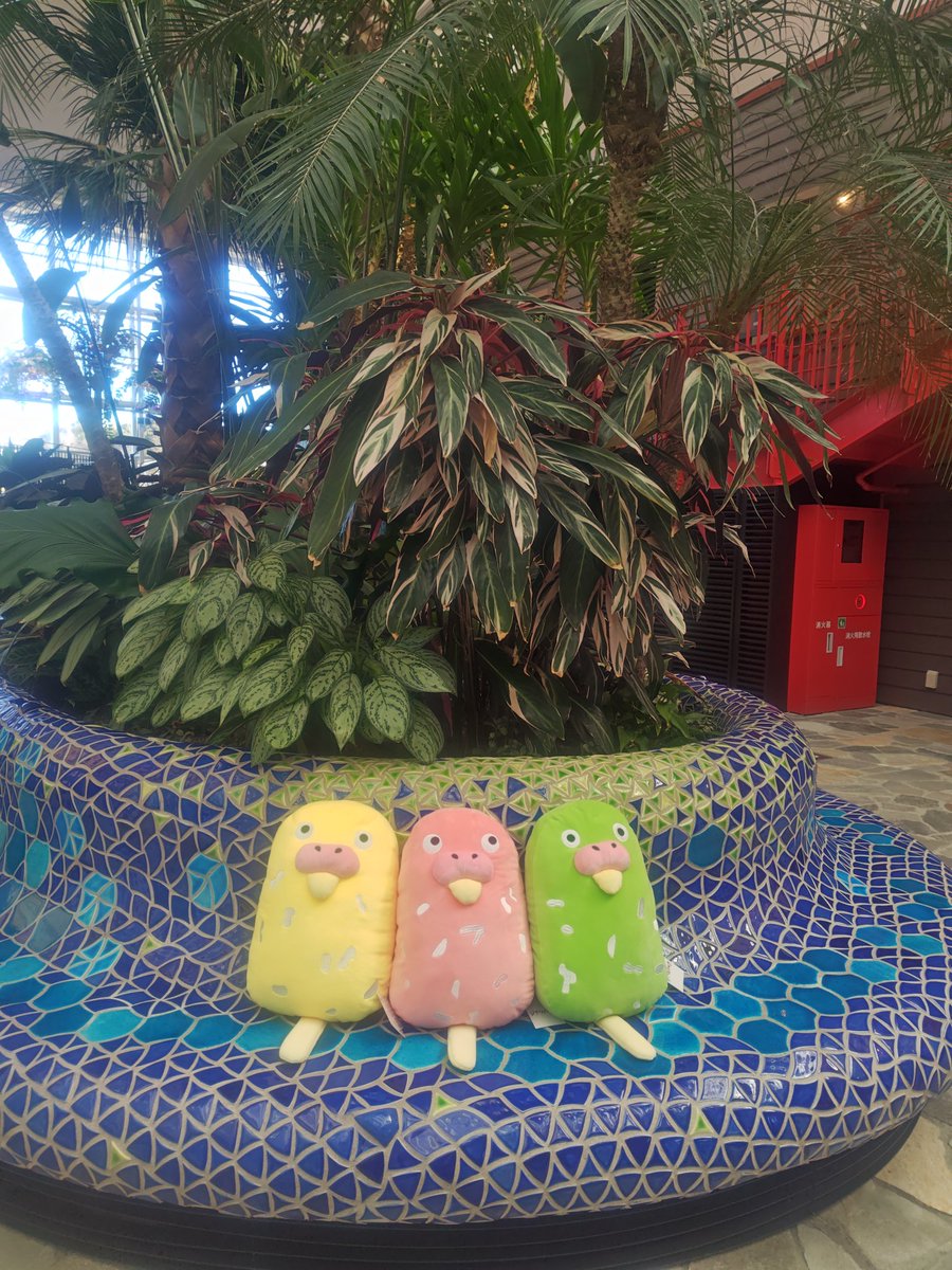 インコパンぬいぐるみ✨ 買っちゃった😚 今日は3色ありました