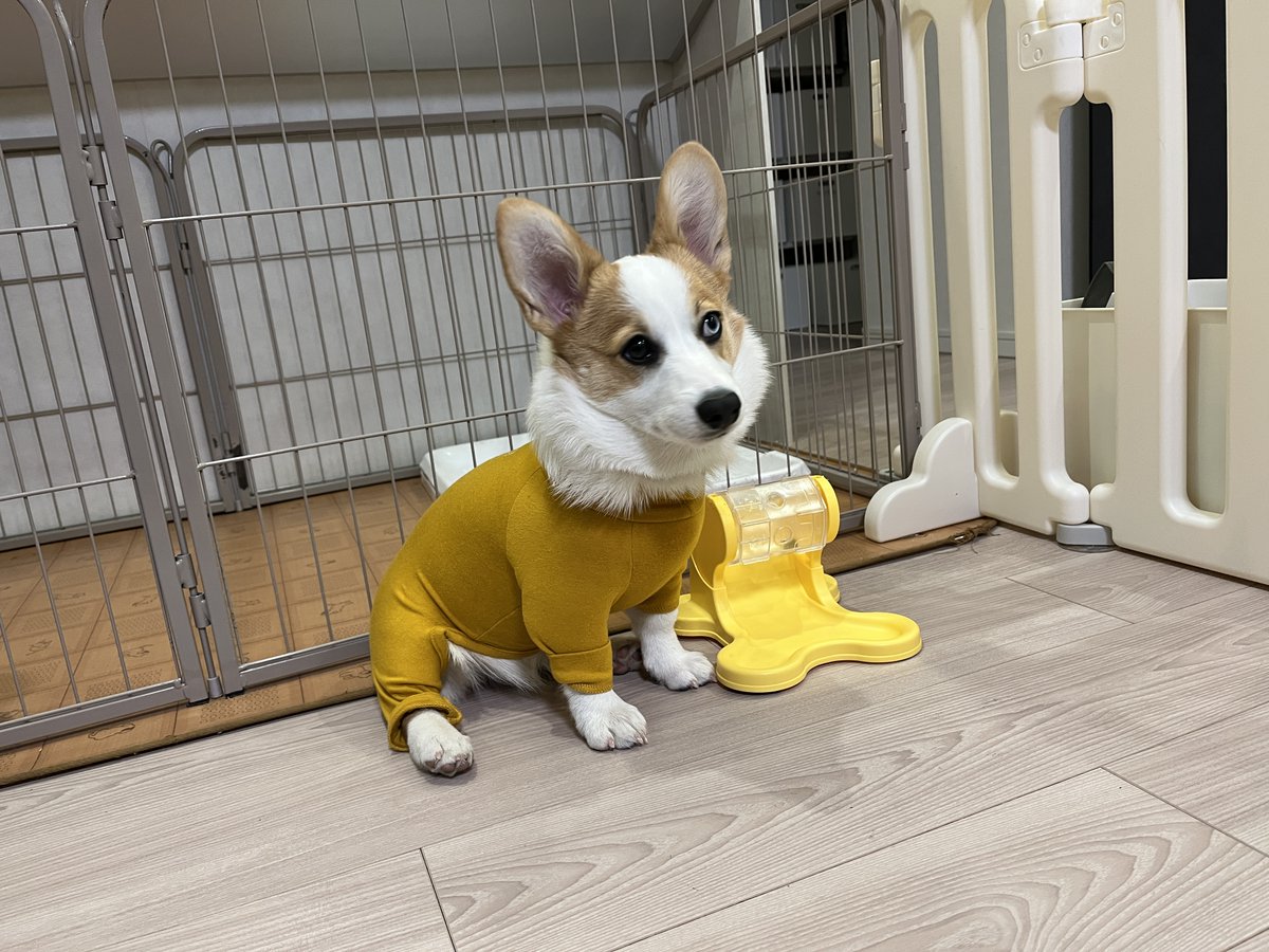 luuke0909's tweet image. 