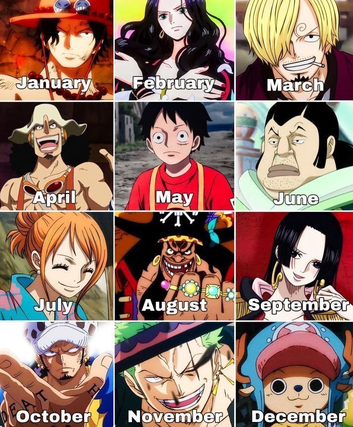 One Piece Daily tweet media