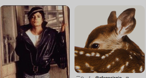 snakeXscape's tweet image. gotta love pinterest sometimes