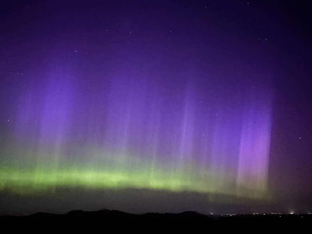 Alex Strauch tweet media