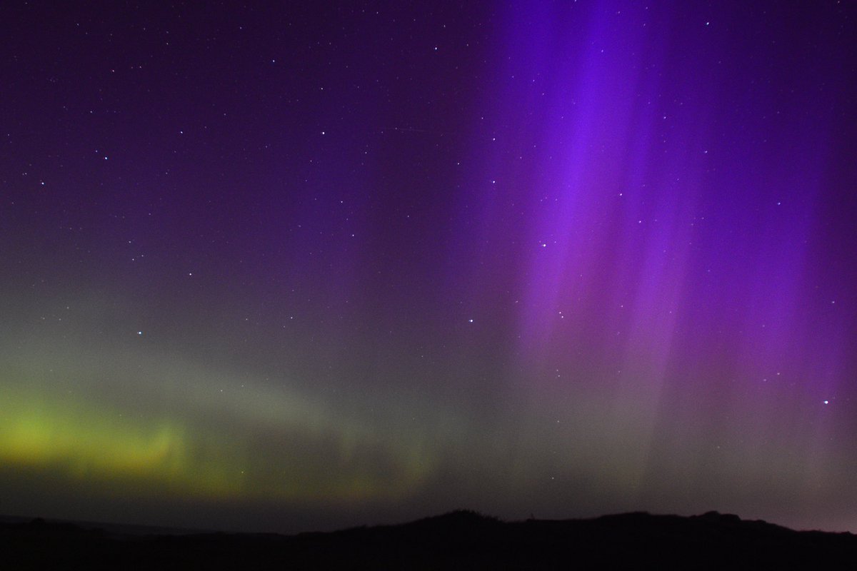 Alex Strauch tweet media