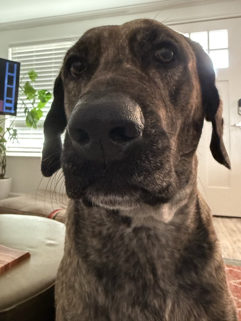 bearki (@bearkitv) on Twitter photo 