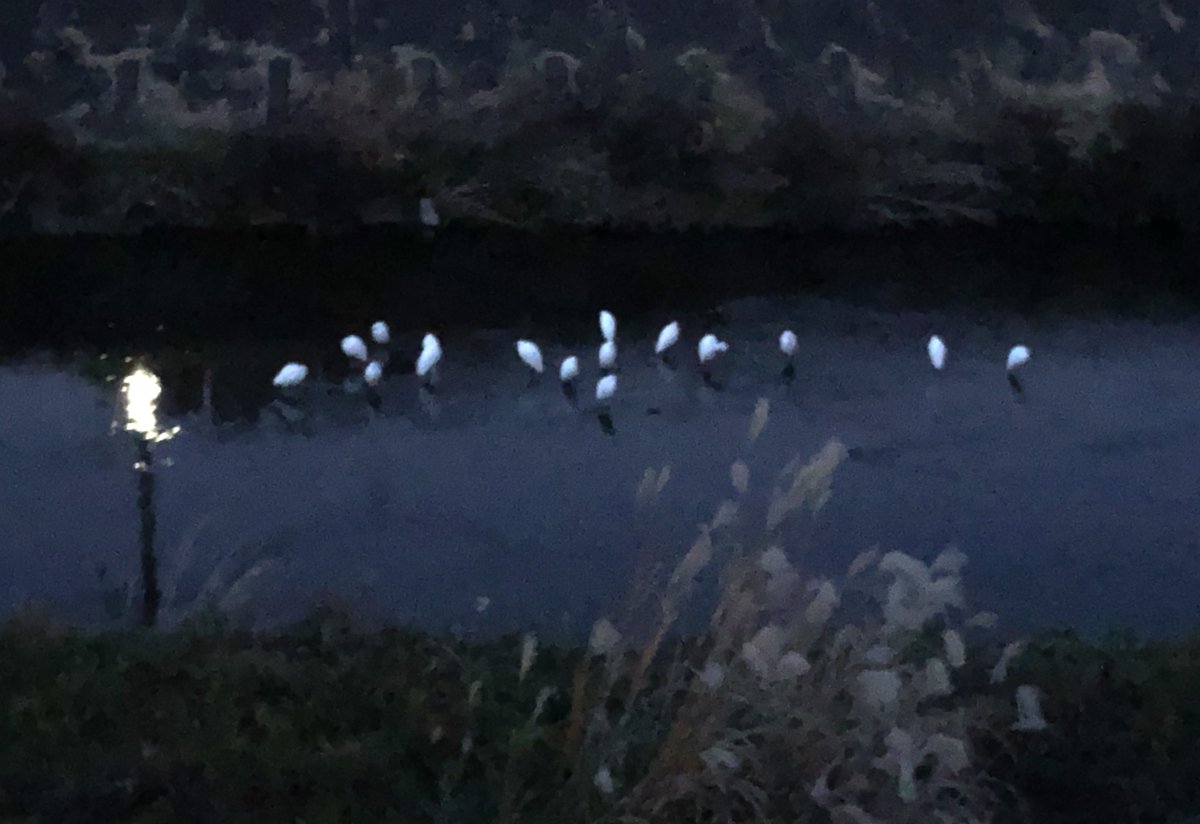 3000fishes's tweet photo. 浜風文庫に、
廿楽順治さんの最新の詩

「ぶどう園」

公開しました.

・

その譬えは
もうぶどうの陰にかえしなさい
旅はおわった

声は
石のように
ふるえておればよい

・浜風文庫
https://t.co/DnBjiqxGLy https://t.co/ZAreXIm8Zf