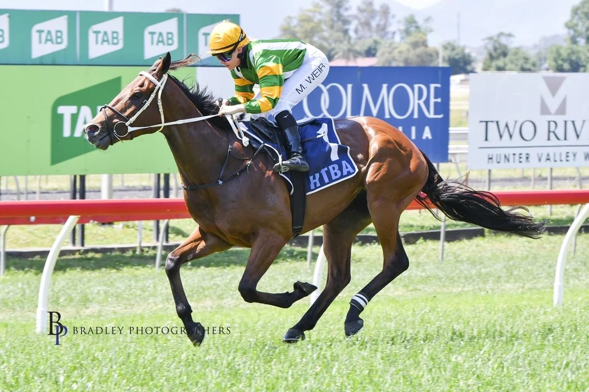 mitchellbeer tweet media