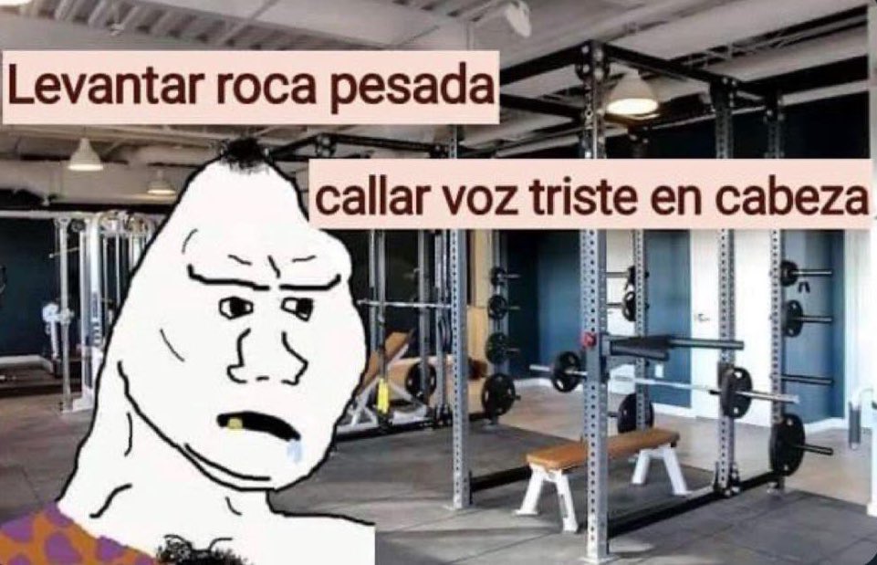 _sofiaifos's tweet image. 