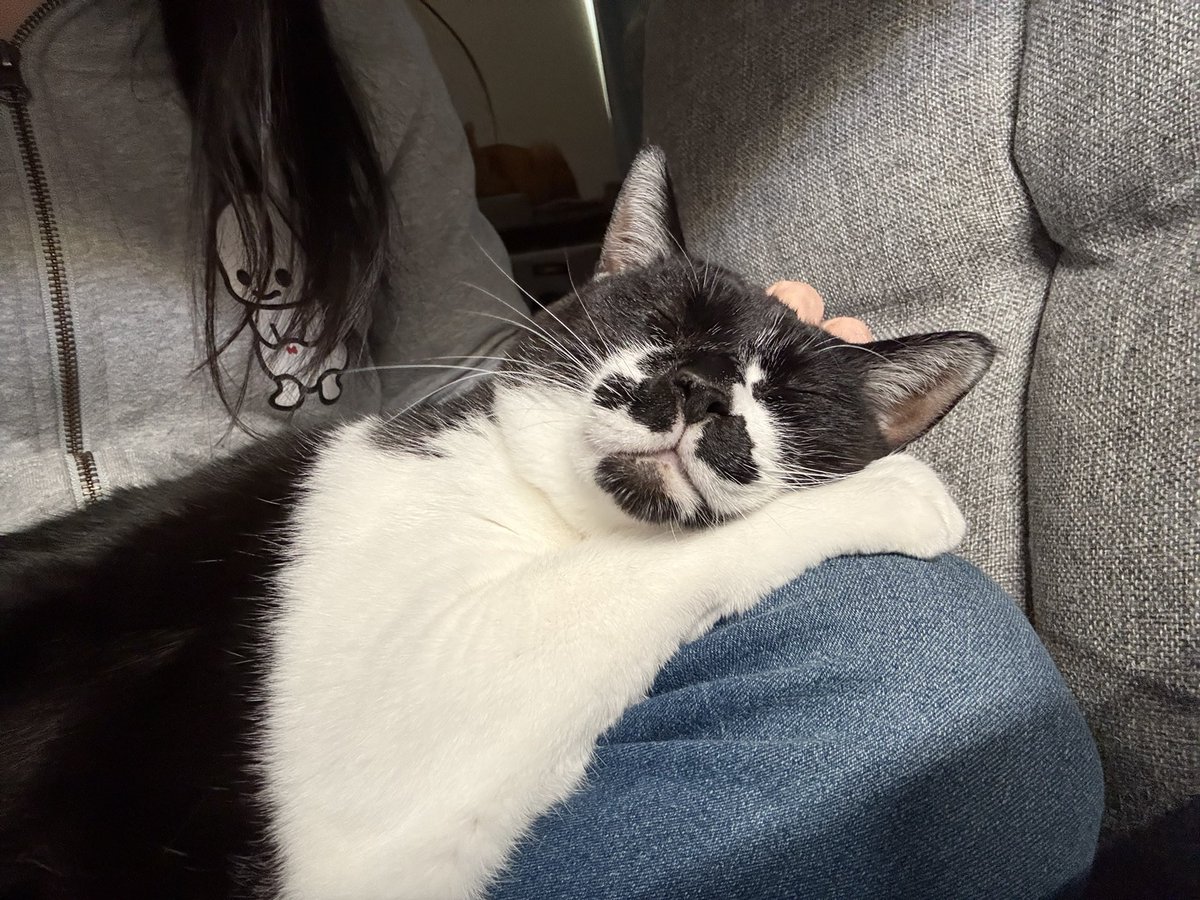 朝ごはん食べてたら膝によじ登ってきてこの顔である
かわい…かわい…
早く帰りたい………😭💕 