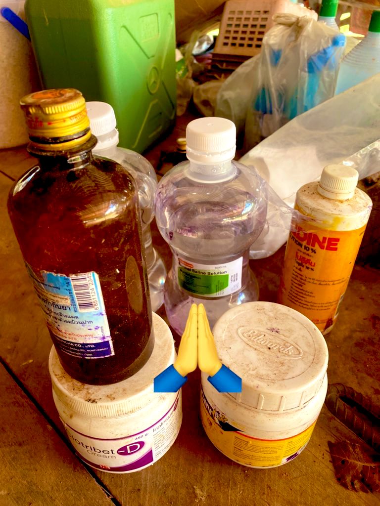 elephantsbbb's tweet image. สู้ๆนะยายจ๋า 🐘🐘วันพุธนี้พ่อควาญพร้อมครอบครัวมาขายผลไม้ ตะกร้าและยกถุง 🙏🐘เพื่อนำไปซื้อยามารักษาดวงตาและแผล 🙏🙏 ขอฝากคุณพี่ใจบุญช่วยเมตตาผลไม้ของครอบครัวช้างตกงานด้วยนะครับพี่ๆแม่ๆ🙏🐘✌️✌️❤️#ผลไม้ยกถุง250คะแนน
#ผลไม้4ตะกร้า150คะแนน
4260188294 ไทยพาณิช
นายชัยพล บมขุนทด