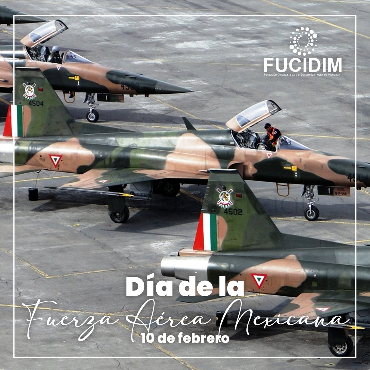 FUCIDIM A.C. tweet media