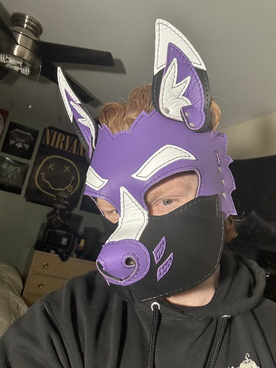 Pup_Vanquish's tweet photo. @ScrapYardLthr absolutely killed it with this hood! I love it so much!! You will now receive way too many dog pics on your timeline in the near future. https://t.co/AaXDJPHLWZ